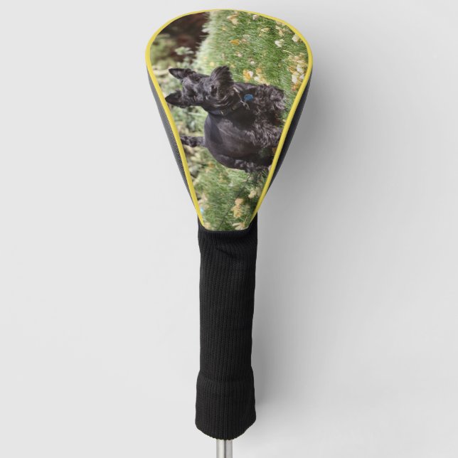 Ach Golf Head Cover (Front)