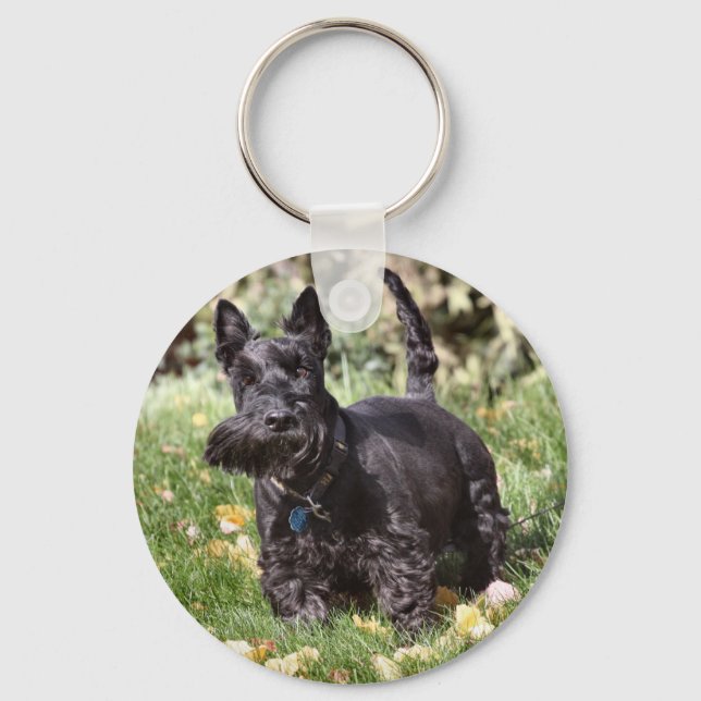 Ach Keychain (Front)