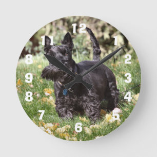 Ach Round Clock