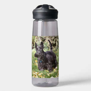 Ach! Water Bottle