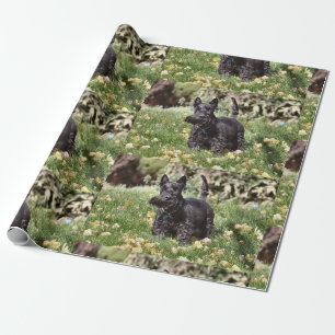 Ach! Wrapping Paper