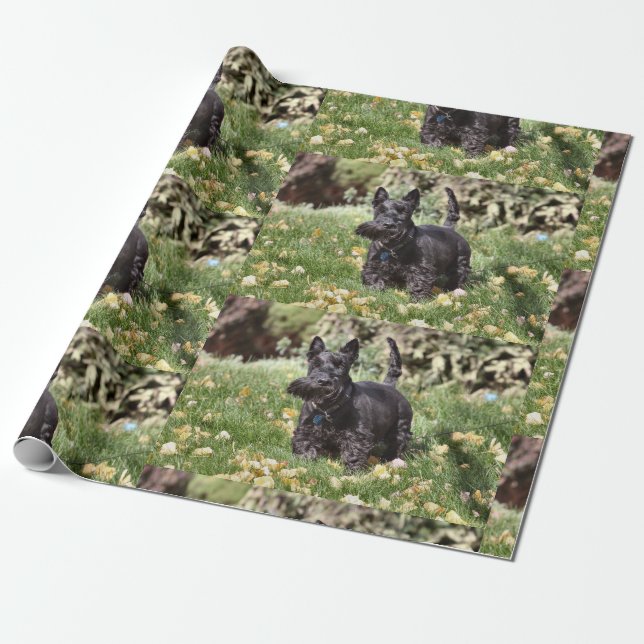 Ach! Wrapping Paper (Unrolled)