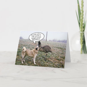 Achai & Emu Belated Birthday-change inside words Card