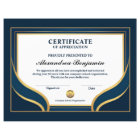Achievement Appreciate Gold Blue Certificate