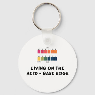 Acid/Base Key chain