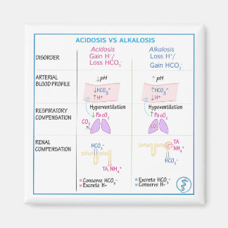 Acidosis vs. Alkalosis Magnet (Nonflexible)