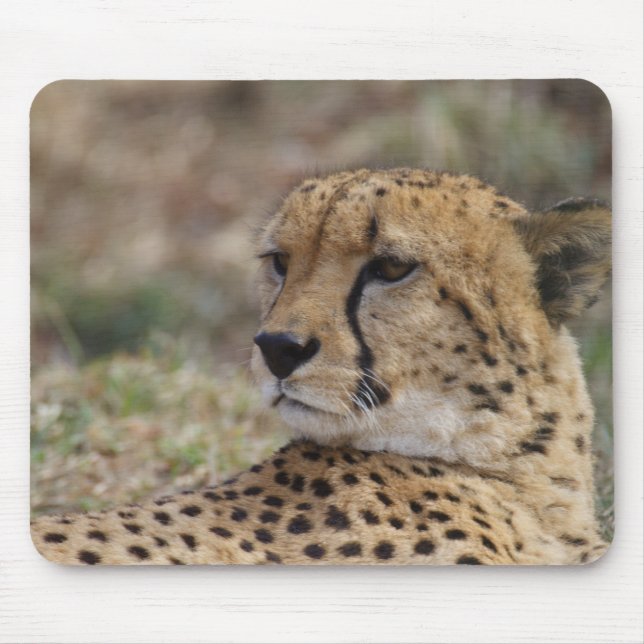 Acinonyx jubatus mouse pad (Front)