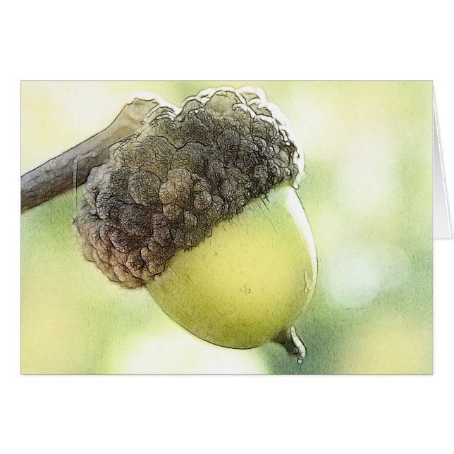 Acorn (Front Horizontal)