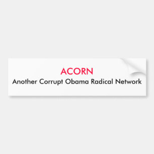 ACORN, Another Corrupt Obama Radical Network Bumper Sticker