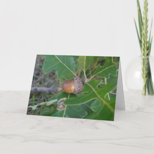 Acorn Card (Front)