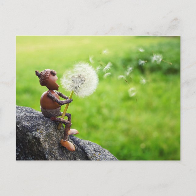 Acorn elf blows into dandelion postcard (Front)