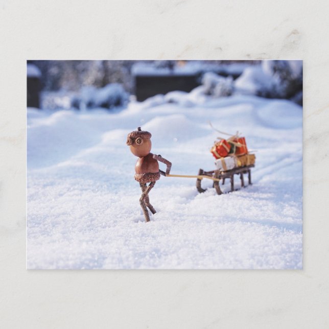 Acorn elf carrying Christmas presents on a sleigh  Postcard (Front)