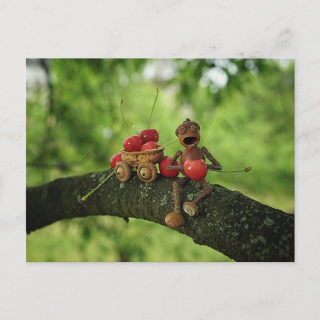 Acorn elf eating cherries on the tree summer  postcard (Front)