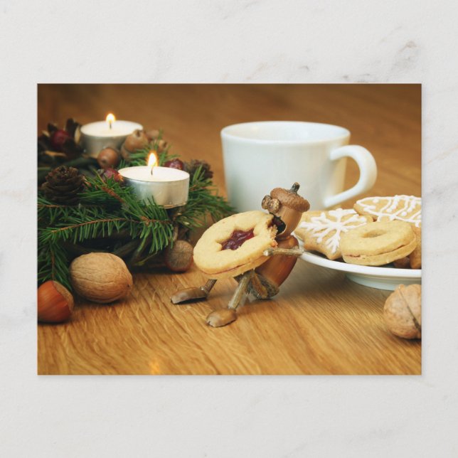 Acorn elf eating cookie - Christmas card  (Front)