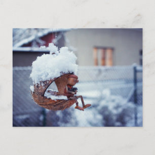 Acorn elf feeding birds winter postcard