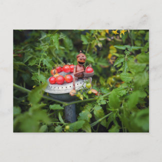Acorn elf gardener with tomatos postcard