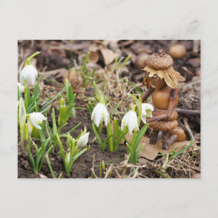 Acorn elf girl with snowflake flower spring postcard