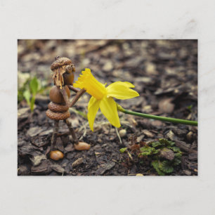 Acorn elf girl with yellow daffodil flower spring postcard