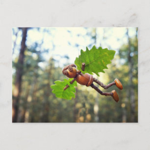 Acorn elf Ikaros flyer - postcrossing postcard