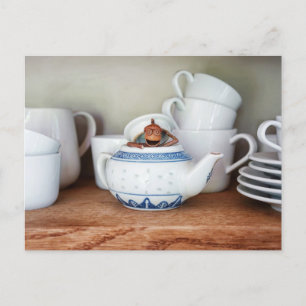 Acorn elf in the teapot postcard