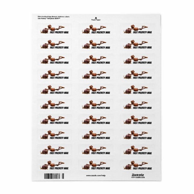 Acorn elf on a snail fast priority label (Full Sheet)