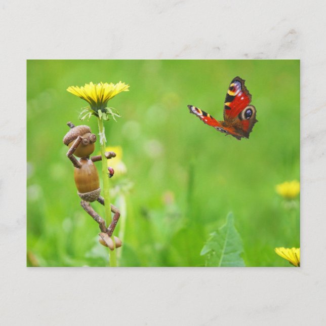 Acorn elf on dandelion with butterfly on meadow postcard (Front)