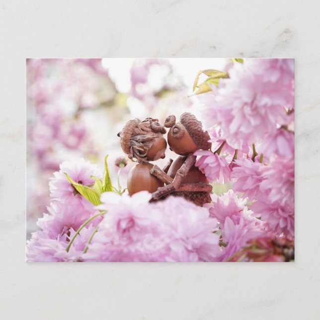 Acorn elf on the blossom tree postcard (Front)