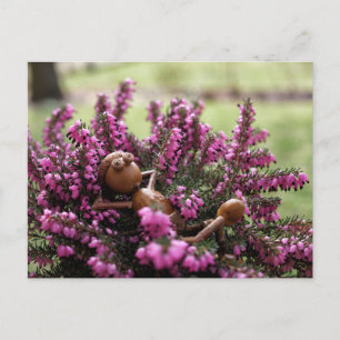 Acorn elf on the heath garden postcard