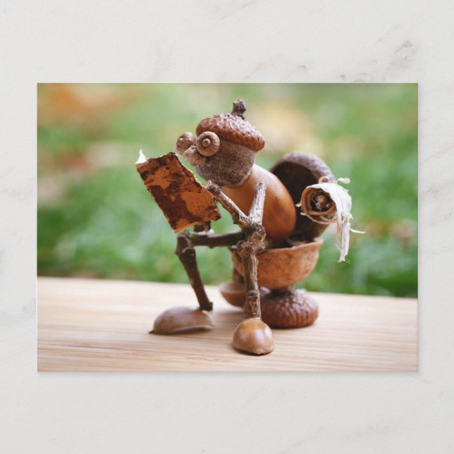 Acorn elf on the toilet postcard (Front)