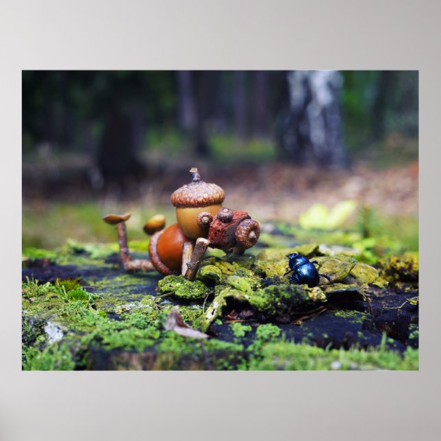 Acorn elf photographer with bug poster (Front)