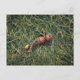 Acorn elf resting on hay postcard