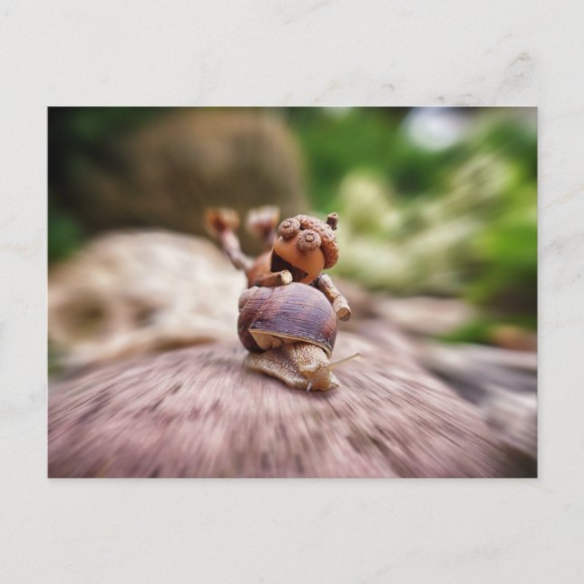 Acorn elf riding on the snail postcard (Front)