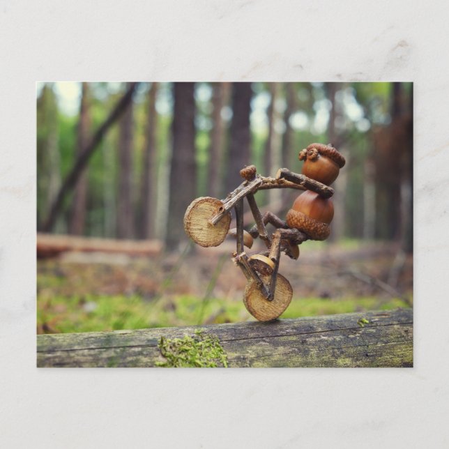 Acorn elf riding the bike postcard (Front)
