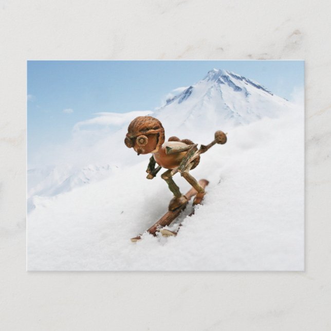 Acorn elf skiing on the snow winter postcard (Front)