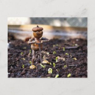 Acorn elf spring gardener postcard