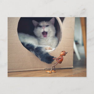 Acorn elf wakes the cat and takes a big risk postcard