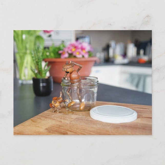 Acorn elf with his dog in the kitchen postcard (Front)