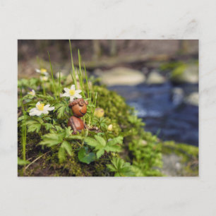 Acorn elf with spring flowers postcard