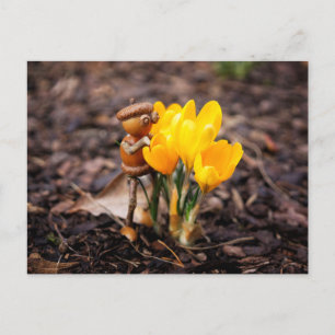 Acorn elf with yellow crocus flower spring postcard