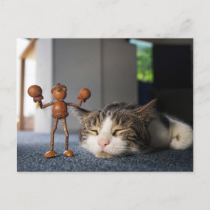 Acorn elf won a boxing match against a cat - funny postcard