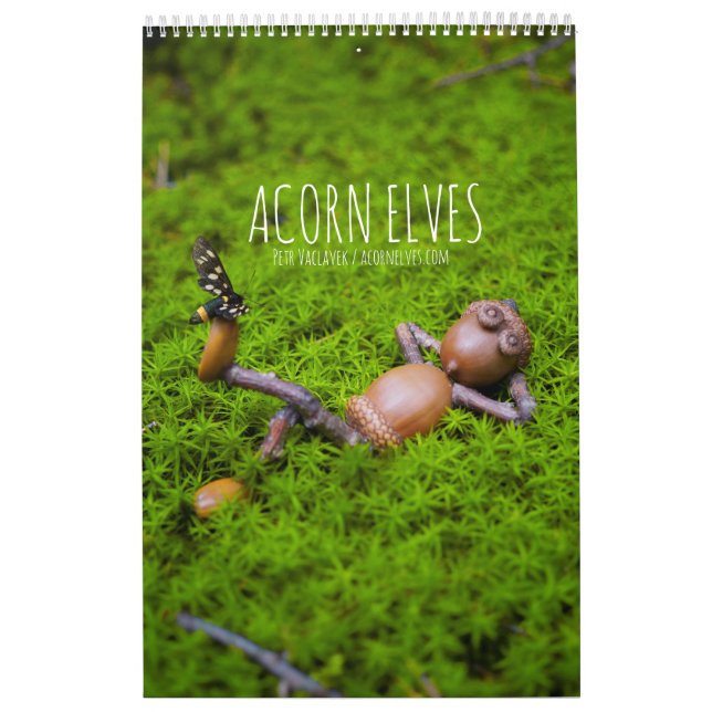 Acorn Elves / Dubanci photo calendar (Cover)
