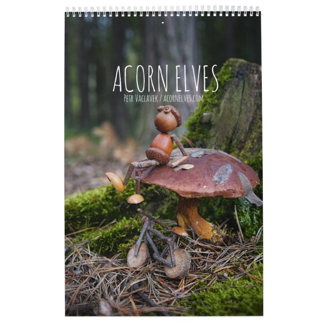 Acorn Elves / Dubanci photo calendar (Cover)