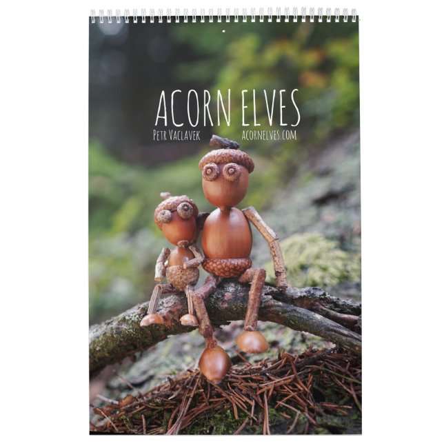 Acorn Elves / Dubanci photo calendar (Cover)