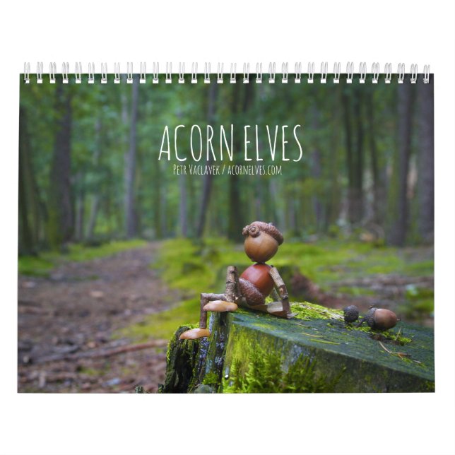 Acorn Elves / Dubanci photo calendar (Cover)