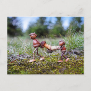 Acorn elves with big mushroom in the basket postcard