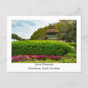 Acorn Fountain at Charleston South Carolina Postcard
