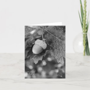 Acorn Note Card