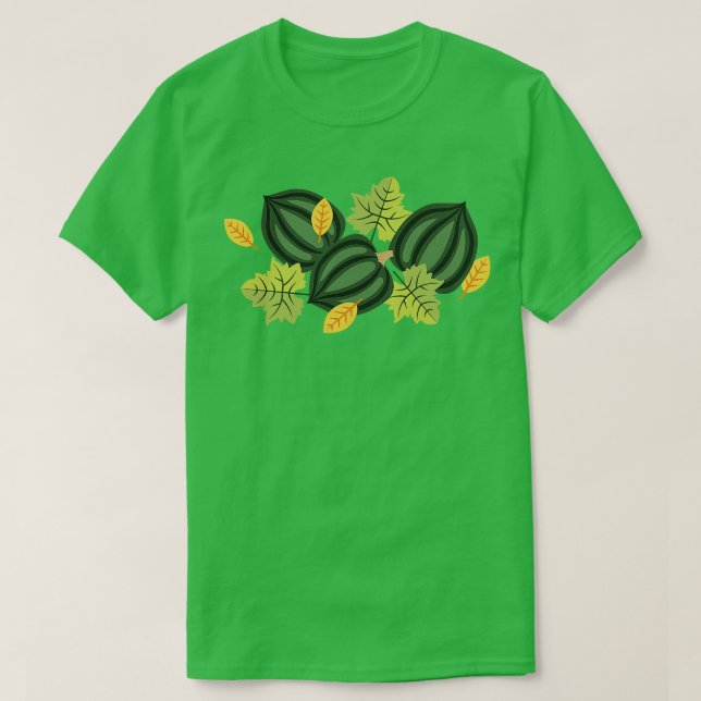 Acorn Squash T-Shirt (Design Front)