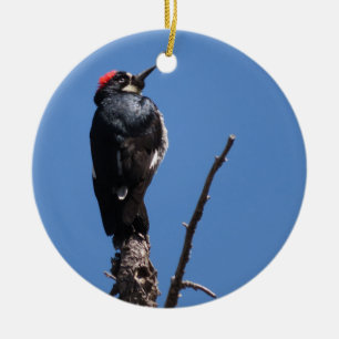 Acorn Woodpecker at Chiricahua National Monument Ceramic Ornament