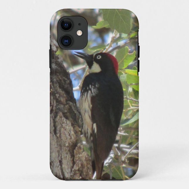 Acorn Woodpecker iPhone Case (Back)